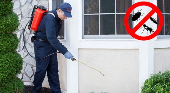 Pozantı Fare İlaçlama böcek ilaçlama ve haşere kontrolü — ilaclama-tr.com